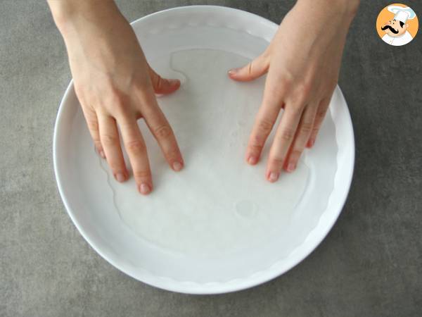 Rouleaux de printemps au saumon fumé et pomme - Préparation etape 2