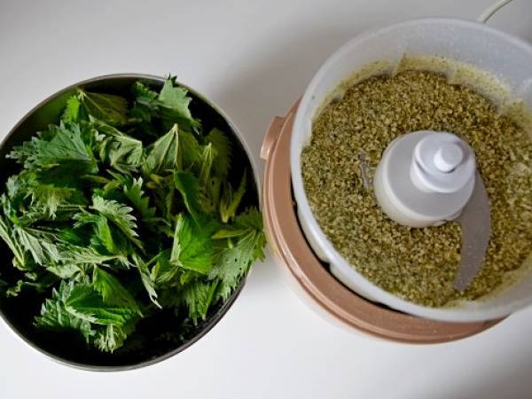 Pesto aux orties sans cuisson, végétarien - Préparation etape 1