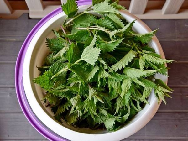 Tarte aux orties et petits pois, végétarien - Préparation etape 5