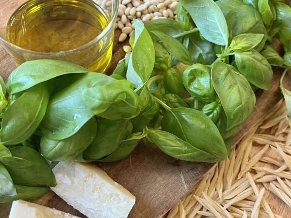 Savourez des trofie au pesto genovese : une recette authentique, facile et délicieuse ! - Préparation etape 1