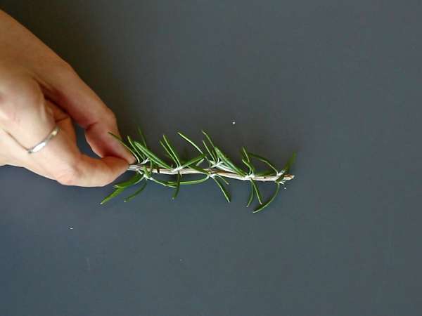 Cocktail avec un sapin enneigé à l'intérieur - Préparation etape 1