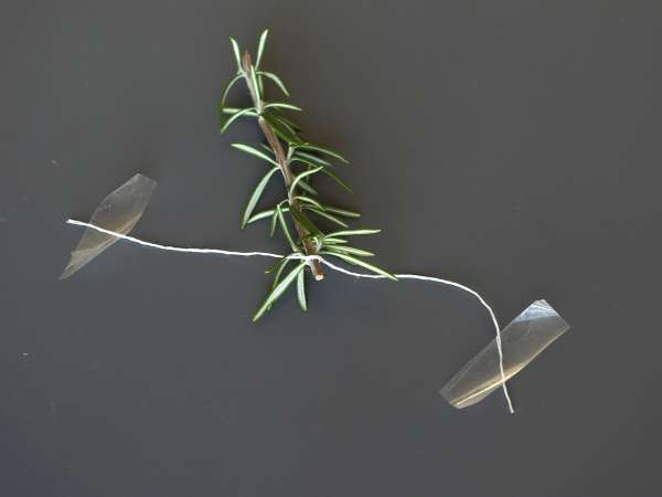 Cocktail avec un sapin enneigé à l'intérieur - Préparation etape 3