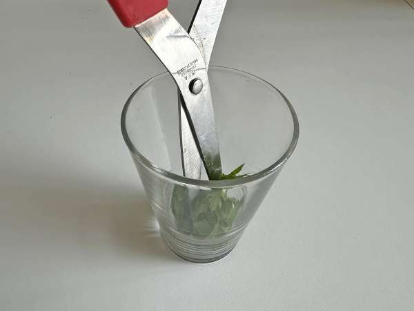 Croûtons aux herbes au air fryer : croustillants, rapides et anti-gaspi ! - Préparation etape 3