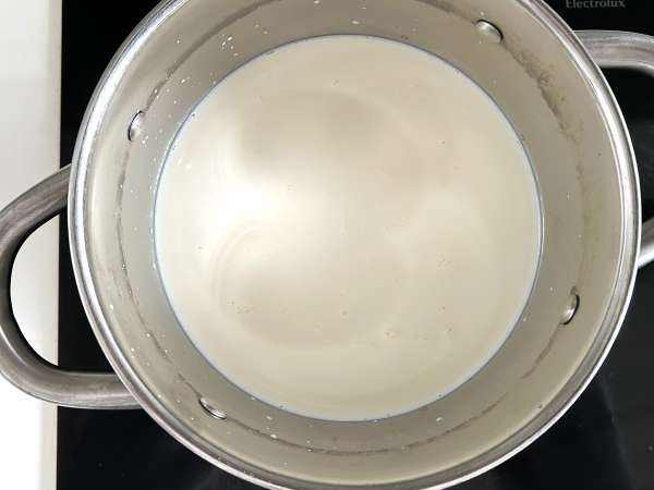 Cottage cheese maison avec deux ingrédients seulement ! - Préparation etape 1
