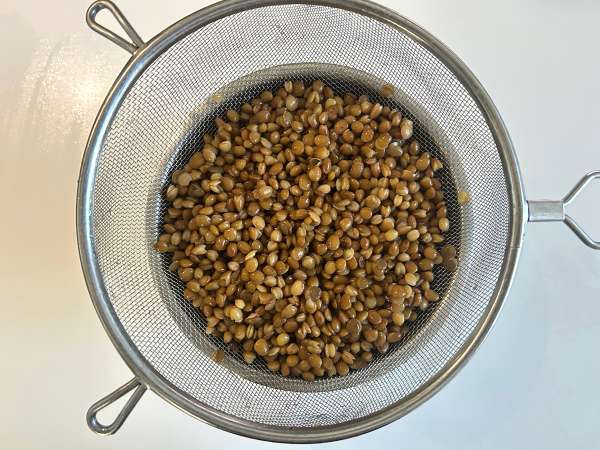 Salade de lentilles protéinée au cottage cheese, facile et rapide - Préparation etape 1