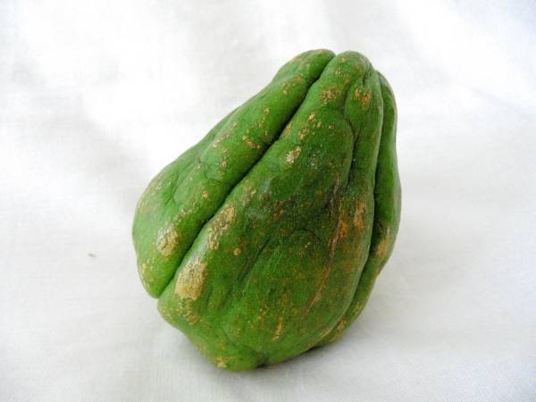 Muffins au chouchou (christophine) - Préparation etape 1