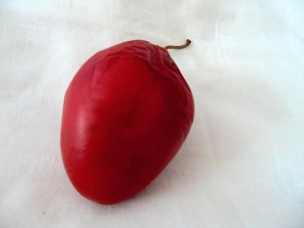 Muffins au tamarillo et à la canneberges - Préparation etape 1