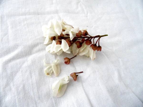 Cake aux fleurs d'acacia - Préparation etape 1