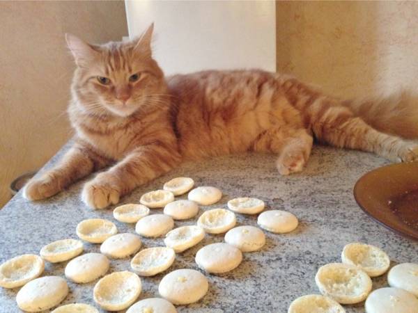 Macarons Chocolat blanc et Cerise - Préparation etape 4