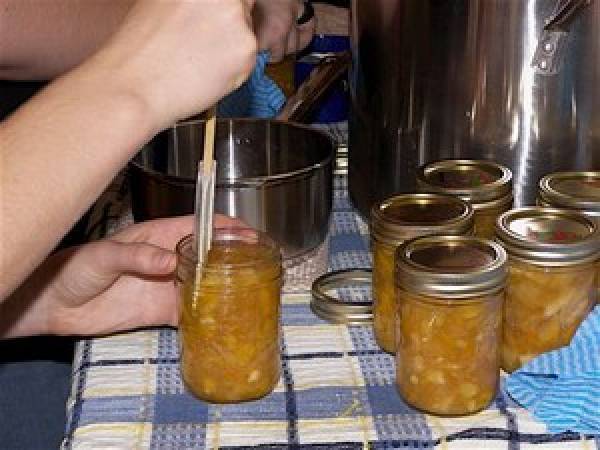 Six copines. Soixante-douze pots de chutney au parfum d'agrumes - Préparation etape 3