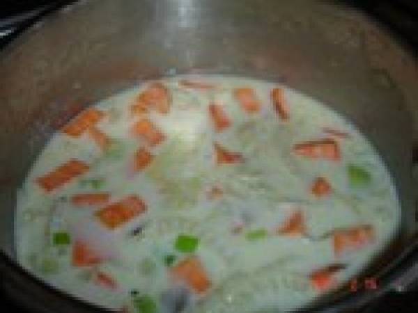 Velouté aux fenouil.oranges/patates douces délicieux - Préparation etape 2