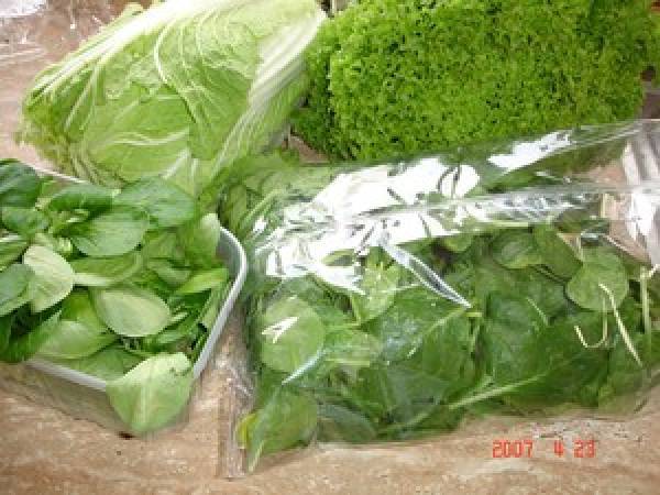 Assiette de salade légère aux scampis, pastèque et melon - Préparation etape 2