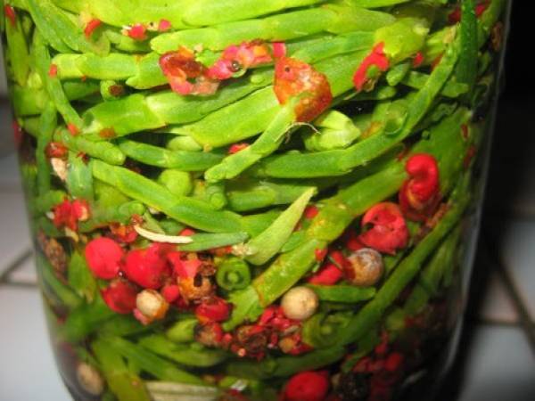 Salicornes au vinaigre et aux baies roses - Préparation etape 5