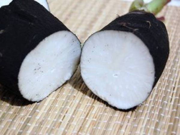 Tartinade de radis noir citron & ricotta - Préparation etape 1