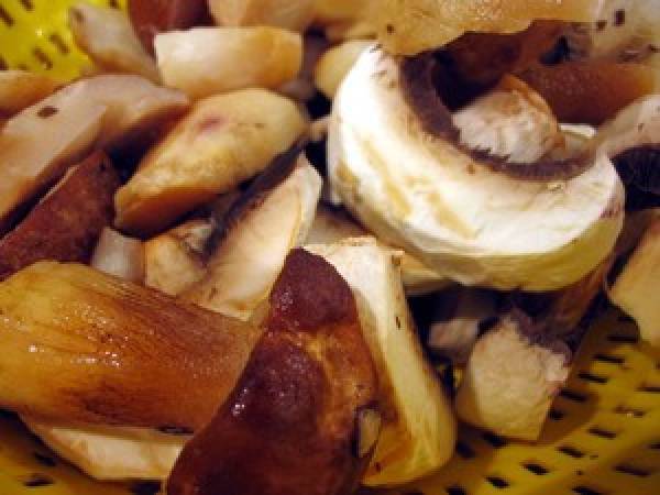 Pâtes d'automne aux cèpes et confit de canard - Préparation etape 2