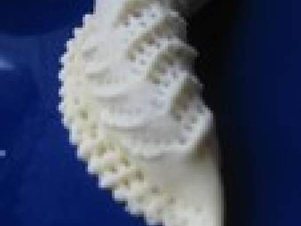 Les plus jolies CORNES DE GAZELLE du royaume - Kaab el ghzal de Tetouan - Préparation etape 6