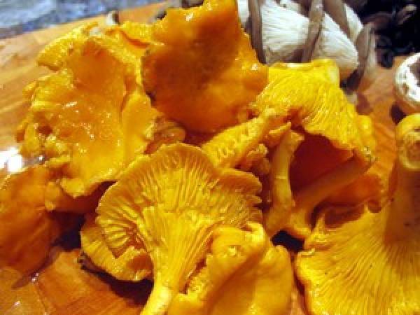 Tarte fine aux champignons forestiers - Préparation etape 1