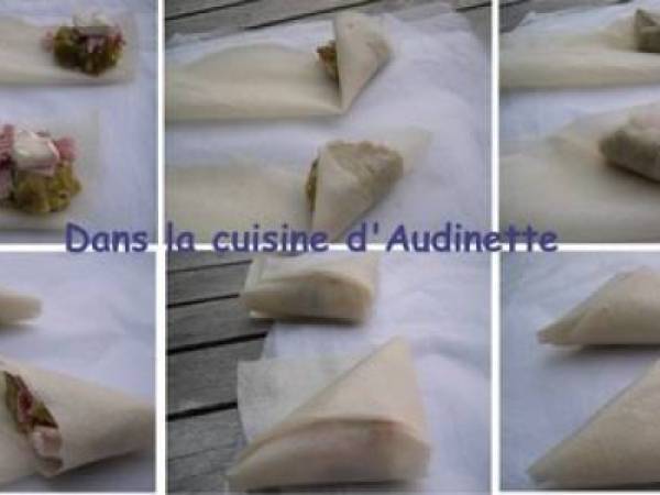 Briouats aux haricots verts, chèvre et jambon - Préparation etape 3