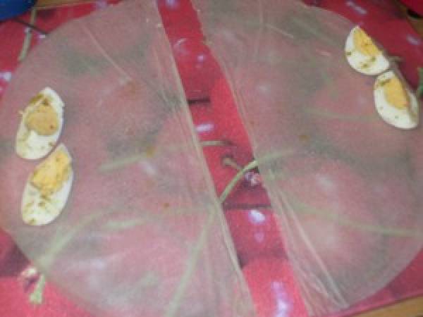 BOUREKS AUX OEUFS DURS ( bricks ) + étapes - Préparation etape 1