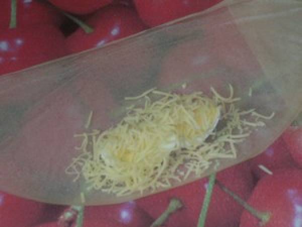 BOUREKS AUX OEUFS DURS ( bricks ) + étapes - Préparation etape 2