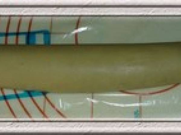 Palets aux noix - Préparation etape 6