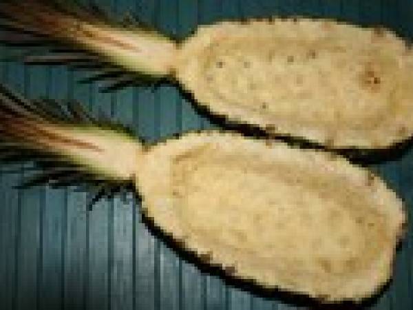 P'tite salade ananas pain de sucre à la Coco Chantrelle - Préparation etape 1