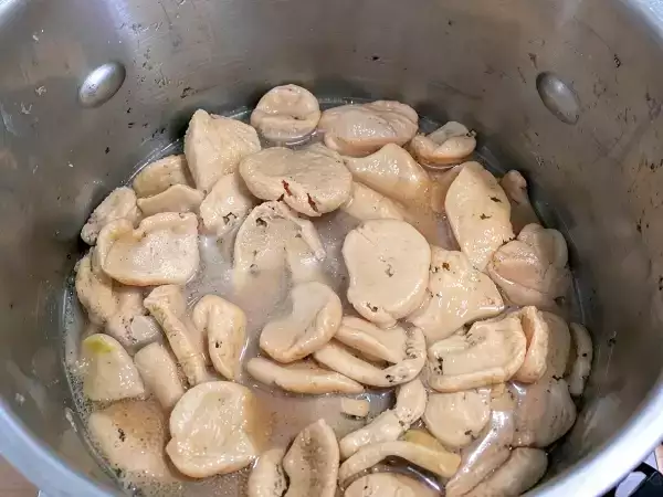 J'ai osé ... le poulet végétal (seitan pour les connaisseurs) - Préparation etape 5