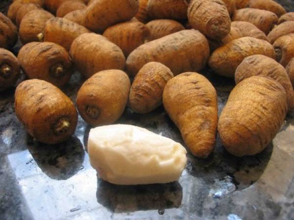 Et si on goûtait le cerfeuil tubéreux ? - Préparation etape 1