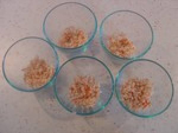 Verrines d'avocat au saumon et à la feta - Préparation etape 1