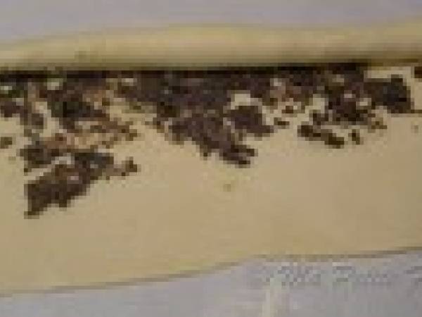 Escargots Feuilletés aux Champignons - Préparation etape 3