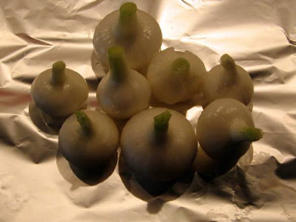 Carré d'agneau aux lentilles - Lamm-Carré mit Berglinsen - Préparation etape 1