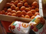 Etape 3 - Tarte aux abricots et à la crème de noisette
