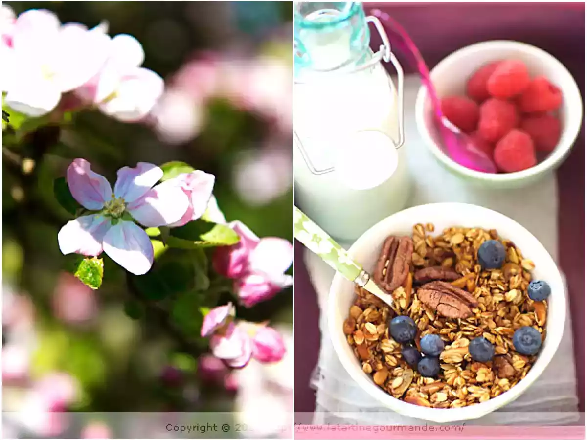 A Healthy Breakfast ? Un petit-déjeuner santé - photo 3