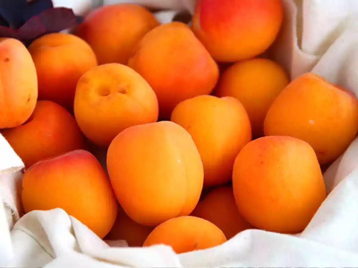 Abricots farcis au thon et romarin - photo 6