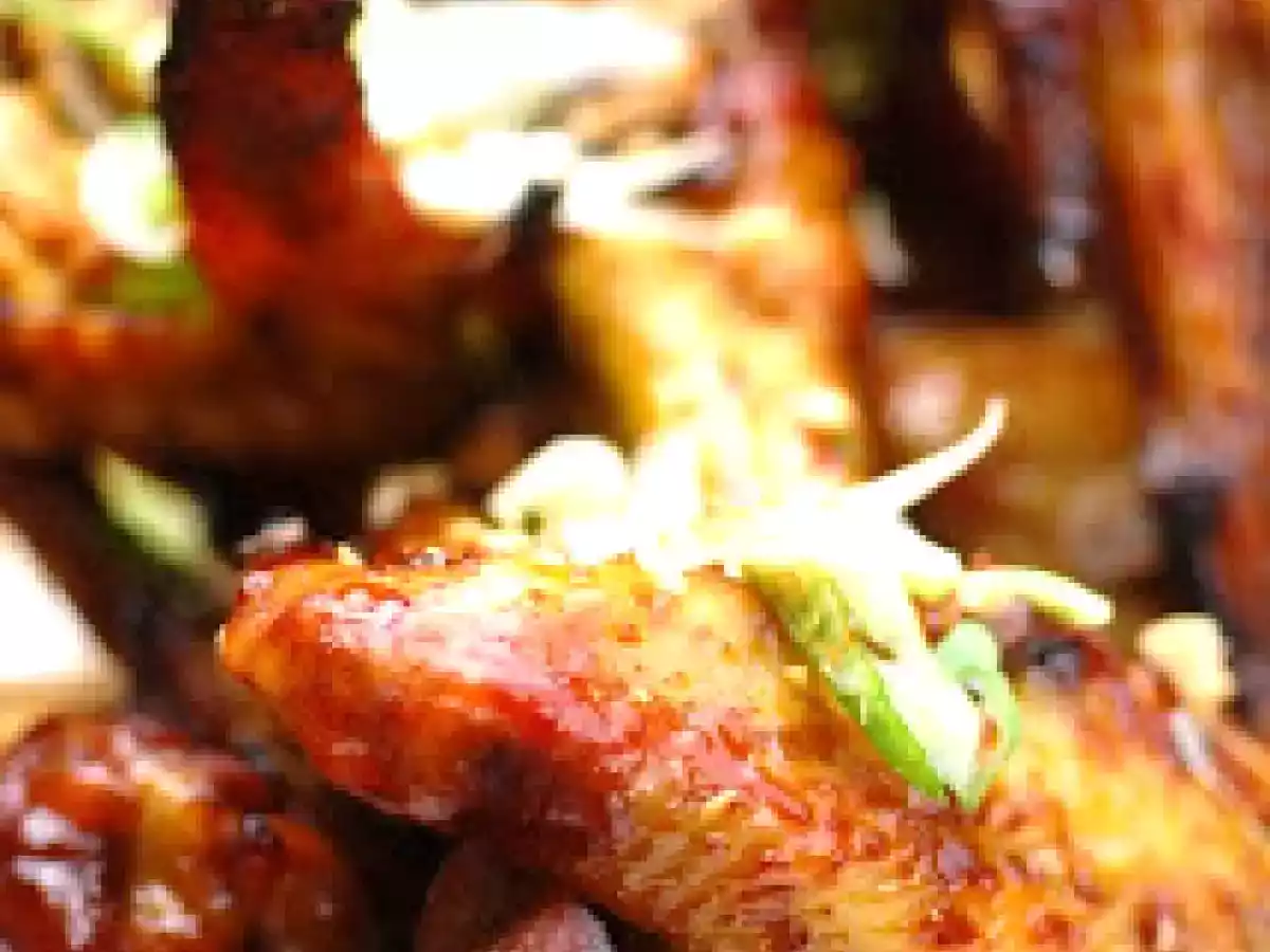 Ailes de poulet, et dernières nouvelles du pique-nique parisien... - photo 2