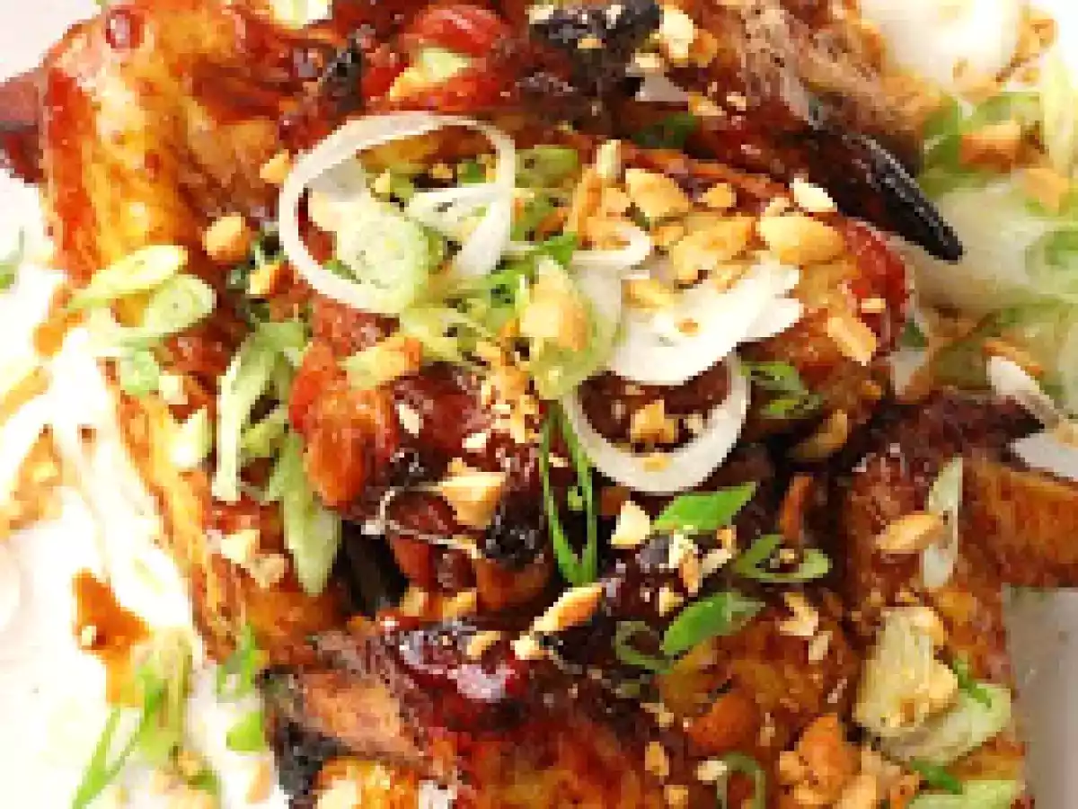 Ailes de poulet, et dernières nouvelles du pique-nique parisien... - photo 3