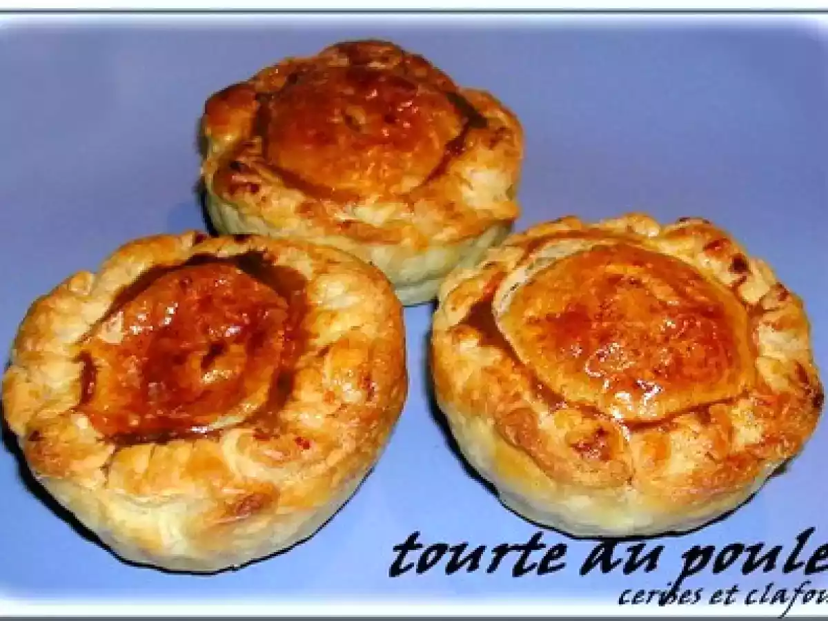 APERITIF DINATOIRE ( suite et fin ) TOURTE AU POULET