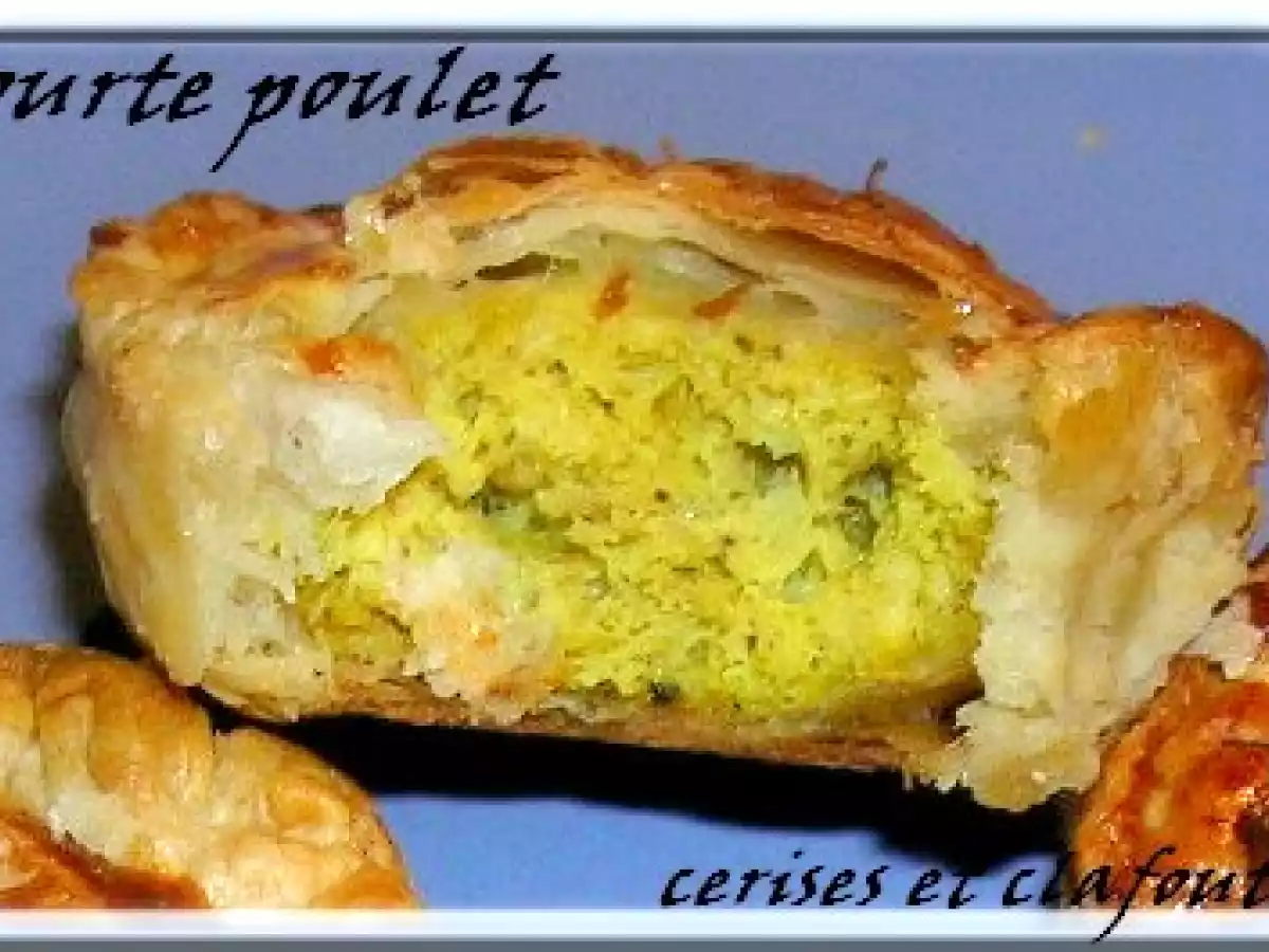 APERITIF DINATOIRE ( suite et fin ) TOURTE AU POULET - photo 2