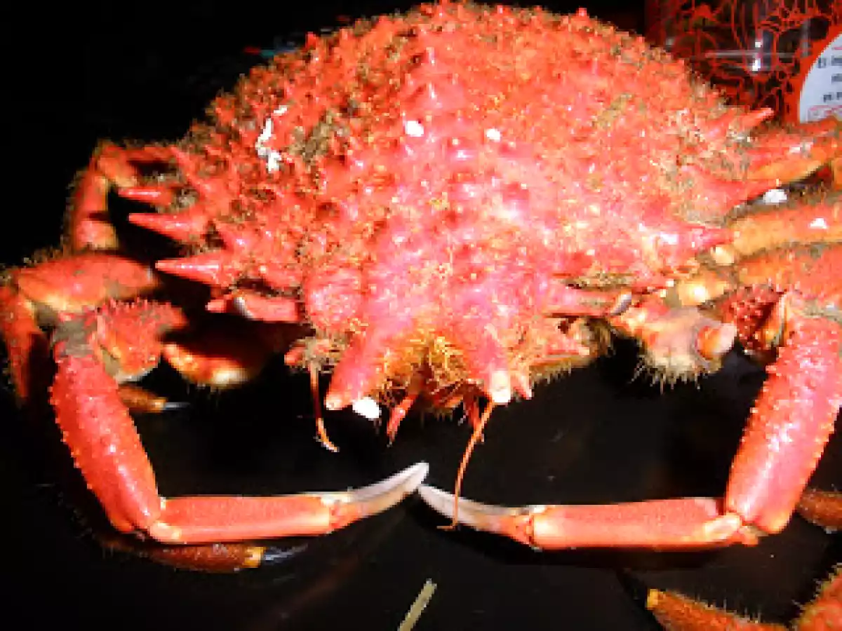 Araignée de mer avec aïoli maison d'après Auguste Escoffier
