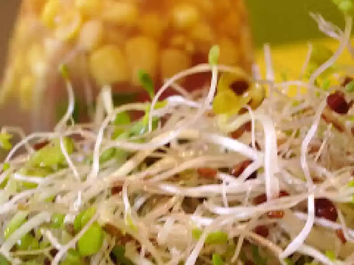 Aspic de légumes vegan - photo 3