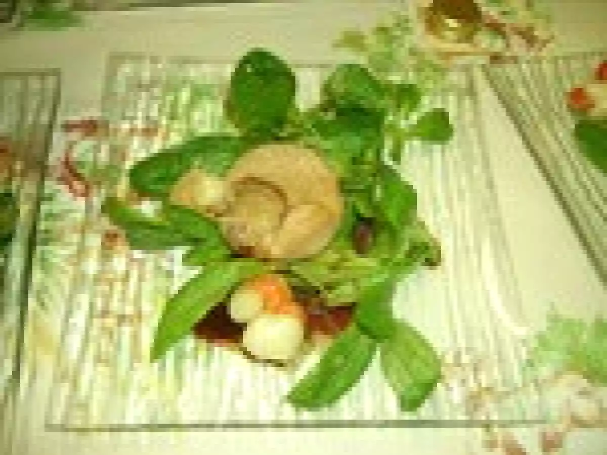 Assiette boursette/noix St Jacques/Foie Gras