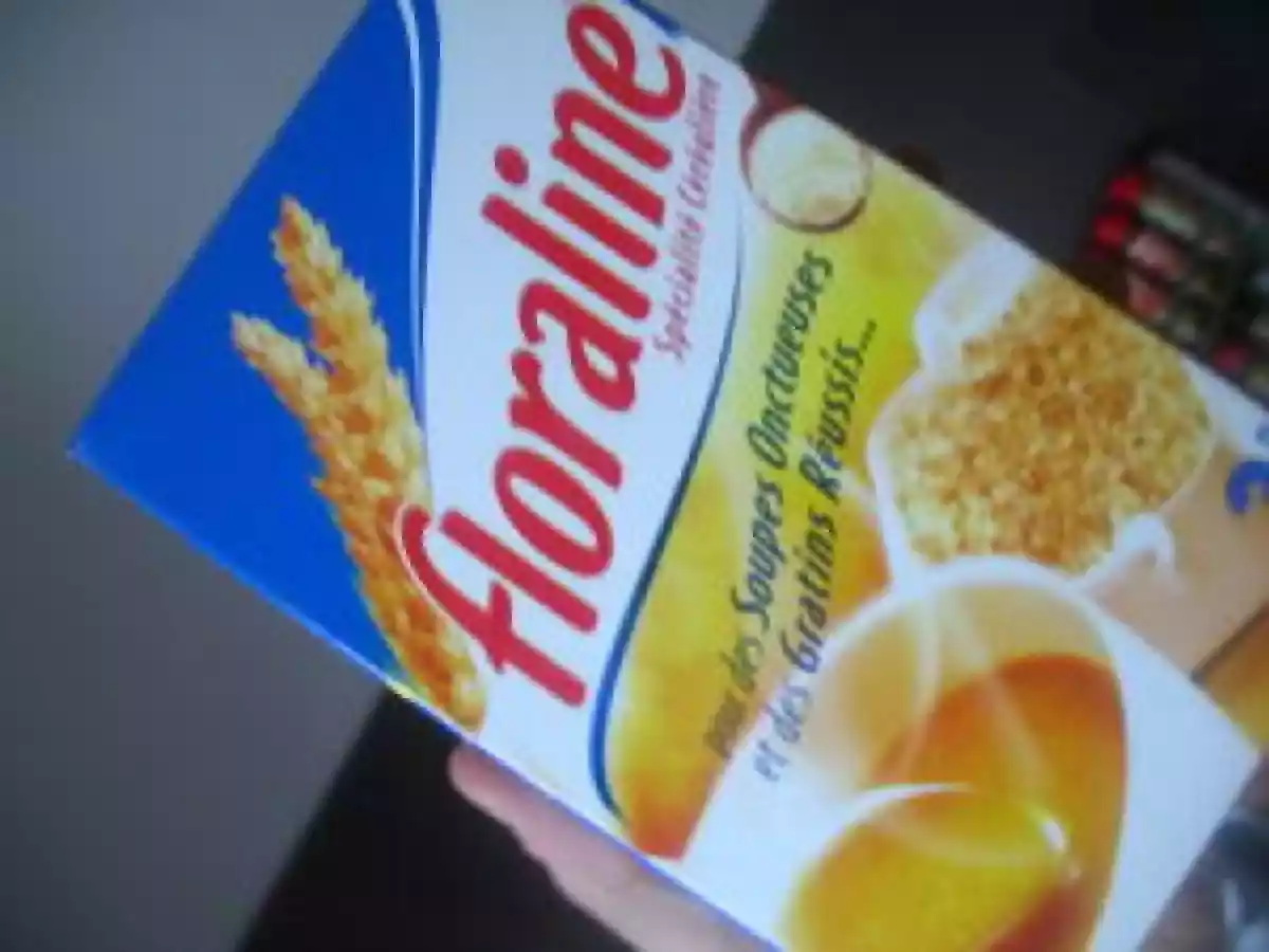 Attention regressif : purée de tapioca de quand j'etais petit... - photo 2