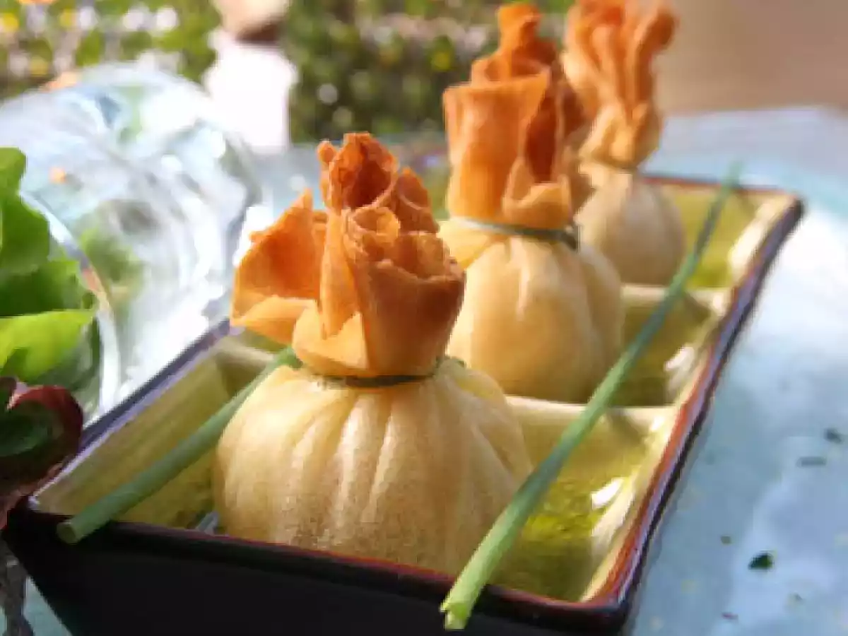 Aumonière au poulet aux saveurs Asiatique