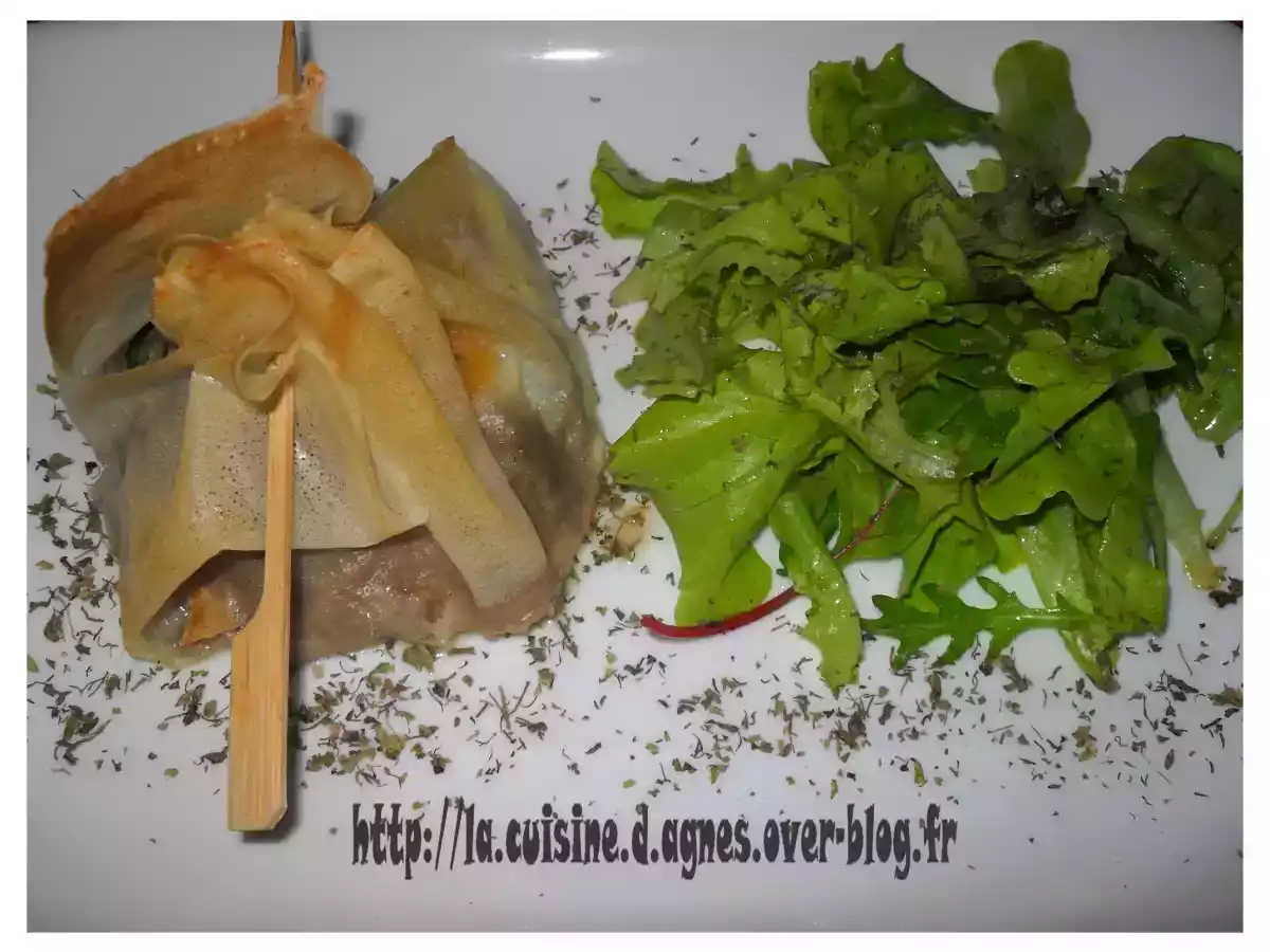 Aumonière de brick au boeuf