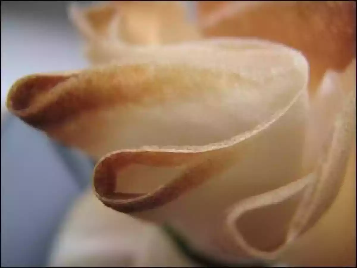 Aumonières de colin - ciboulette & pomme