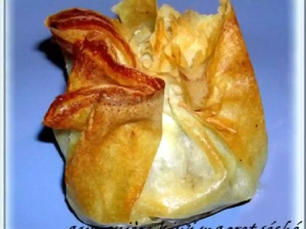 AUMONIERES MAGRET SECHE, KIWI ET FROMAGE DE CHEVRE