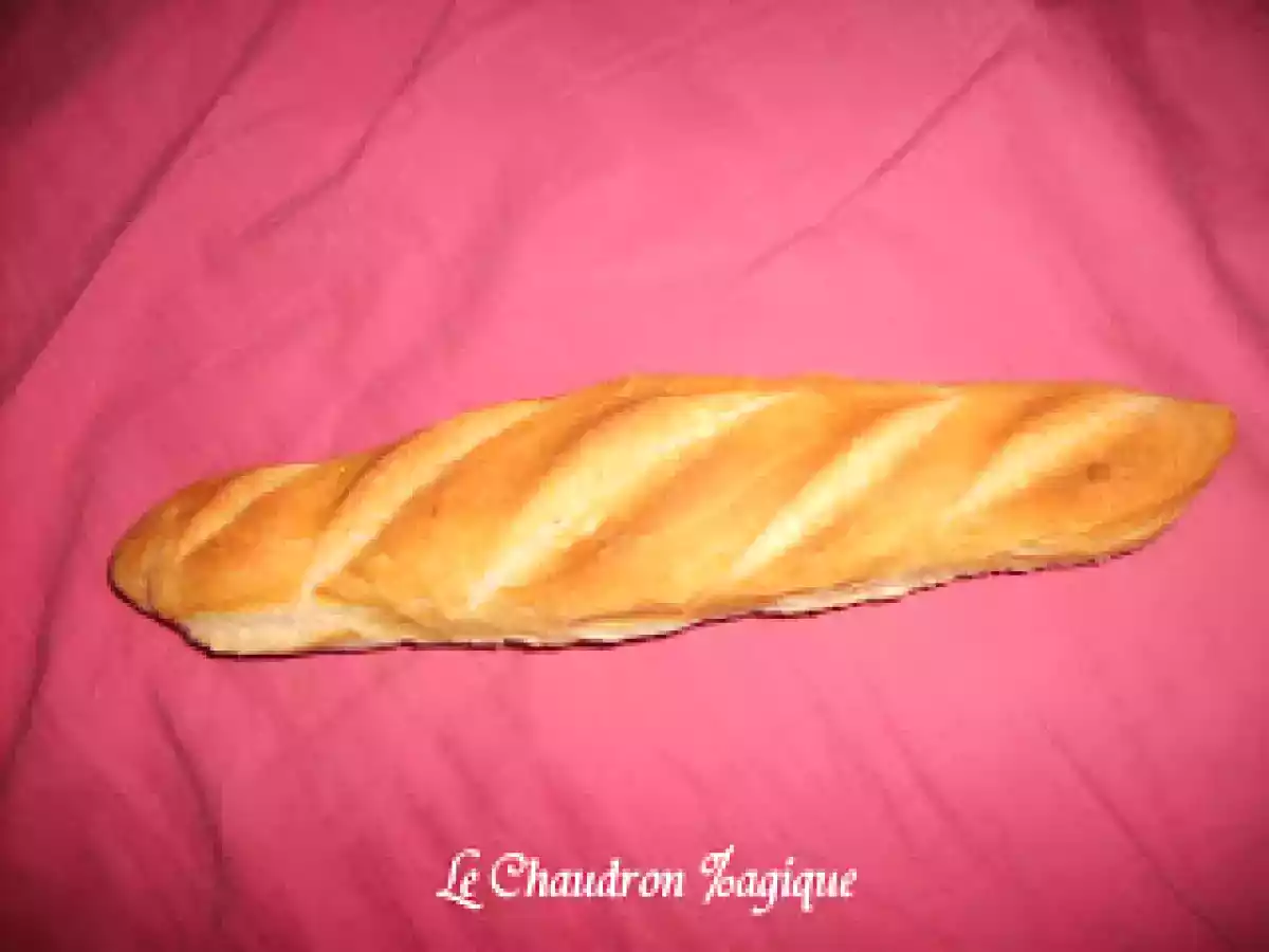 Baguettes sur poolish longue (recette de Cinquesse).