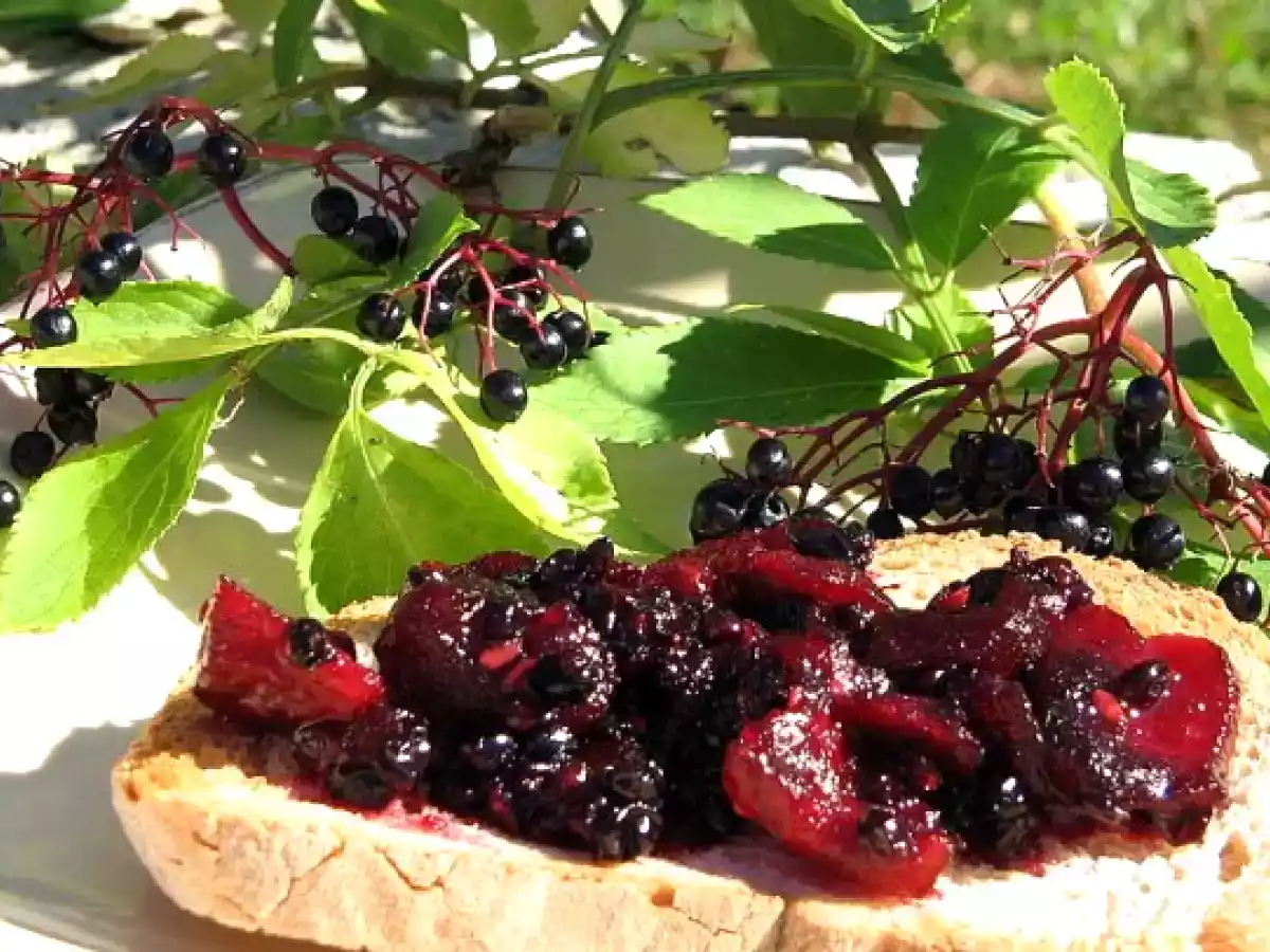 Baie de sureau, les recettes - photo 2