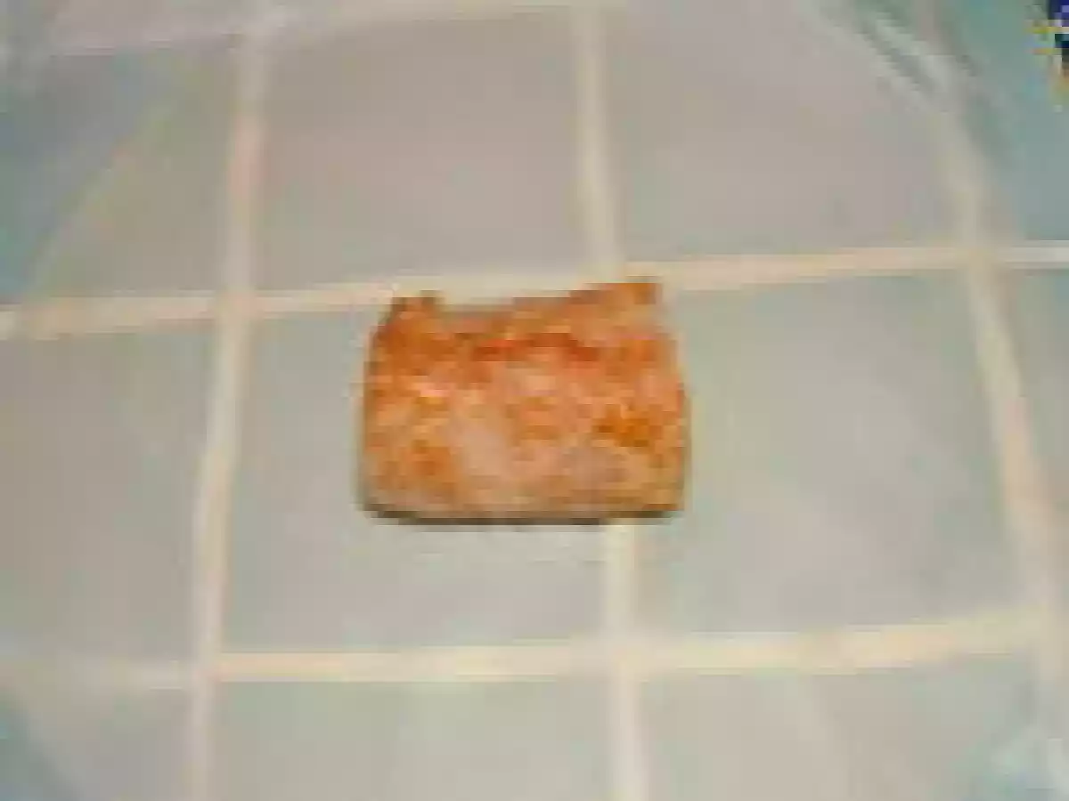 Ballotin de mignon de porc en brick - photo 5