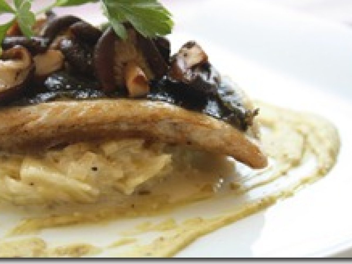 Bar Roti Gratin De Poireau Minute Au Parmesan Et Vinaigrette De Feve Recette Ptitchef